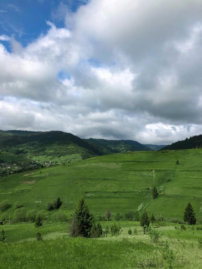 Галерея Карпат Plave Extérieur photo