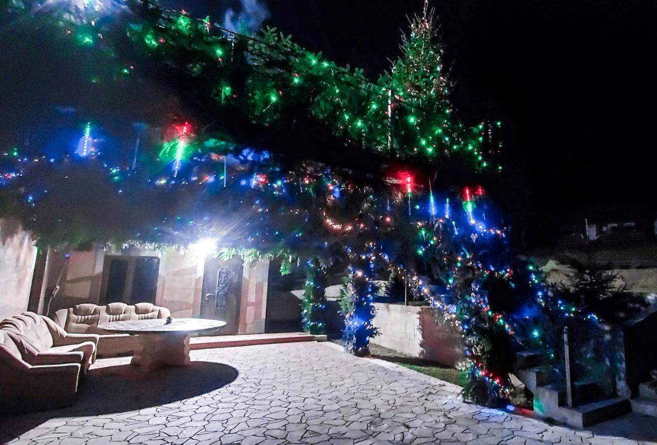 Галерея Карпат Plave Extérieur photo